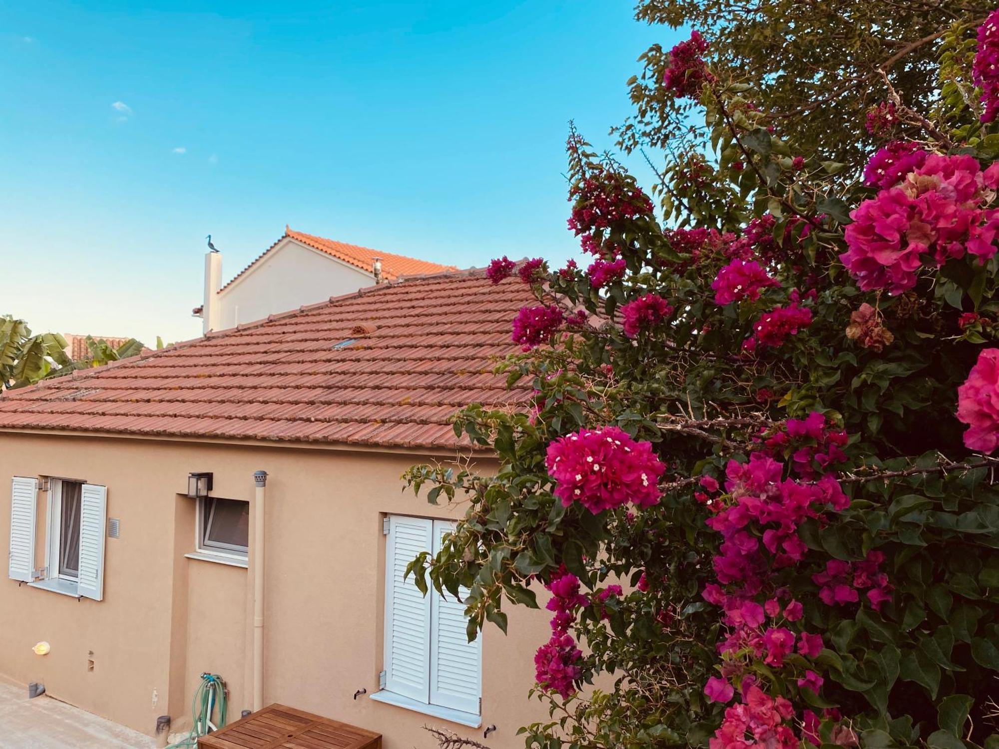 Katoικια Vila Lourdata  Exterior foto